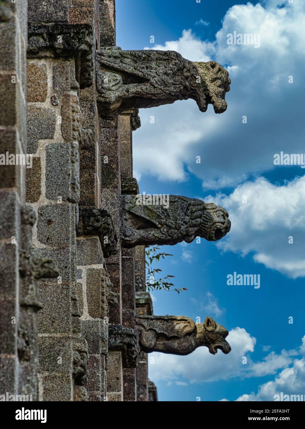 Steinskulpturen an der Fassade von Eglise Saint-Leonard, Fougeres, Bretagne Stockfoto