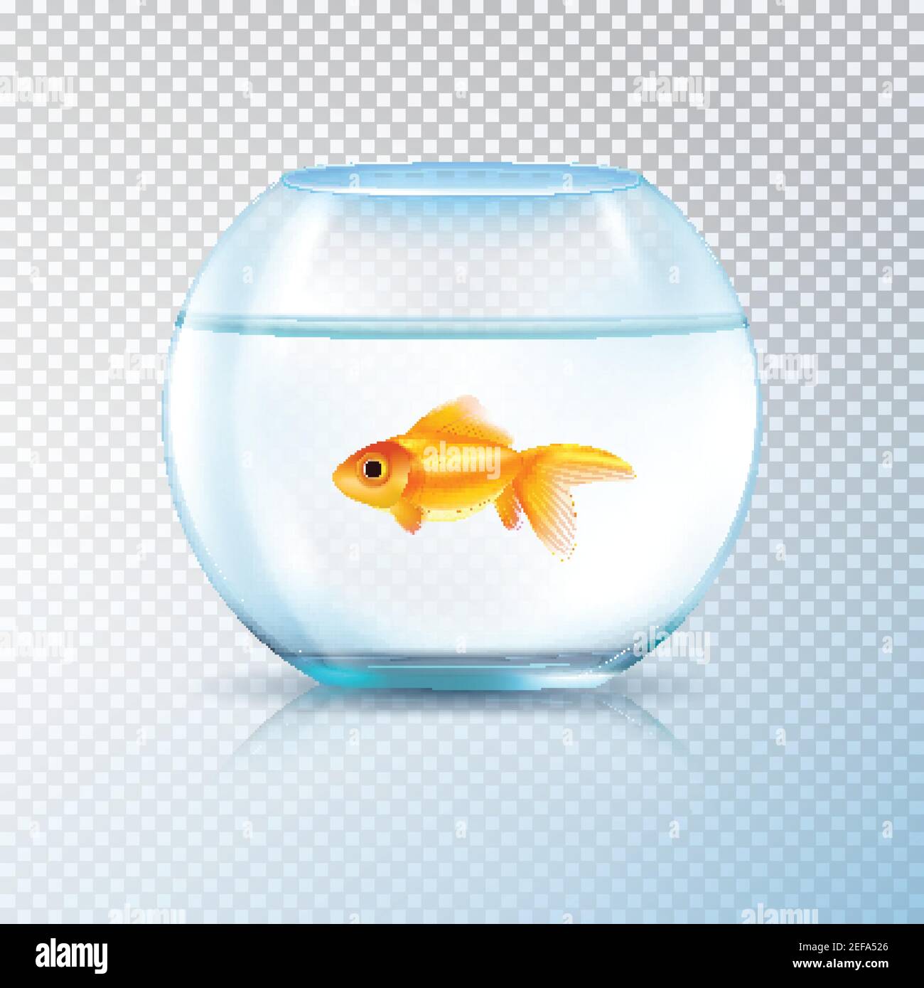 Runde Wand Wasserbehälter Schüssel Aquarium mit einzelnen goldenen Fischen Realistisches Bild auf transparentem Hintergrund Vektorgrafik Stock Vektor