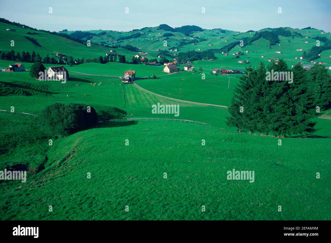 Häuser auf einer Landschaft, Kanton Appenzellerland, Schweiz Stockfoto