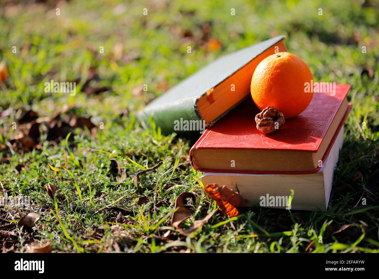 Es gibt Bedürfnisse von Studenten Dinge auf dem natürlichen Ort. Stockfoto