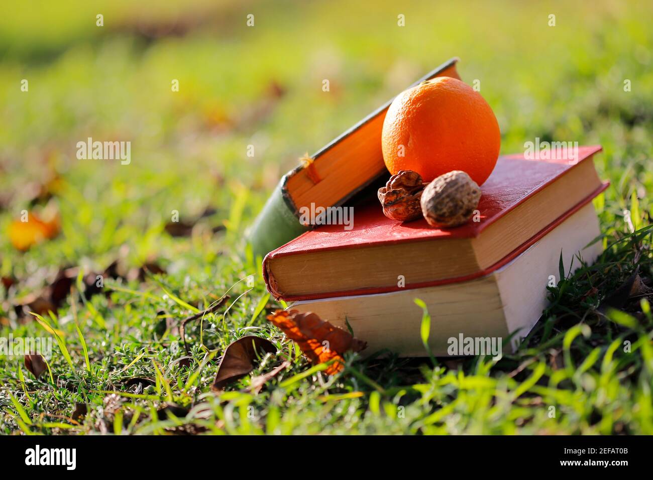 Es gibt Bedürfnisse von Studenten Dinge auf dem natürlichen Ort. Stockfoto