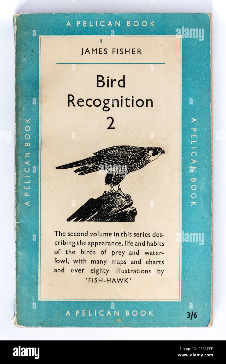 1951 James Fisher Vintage Vogelbuch im Taschenbuch mit dem Titel Bird Recognition 2: Birds of Prey and Water-Fowl (Pelican Books) Stockfoto