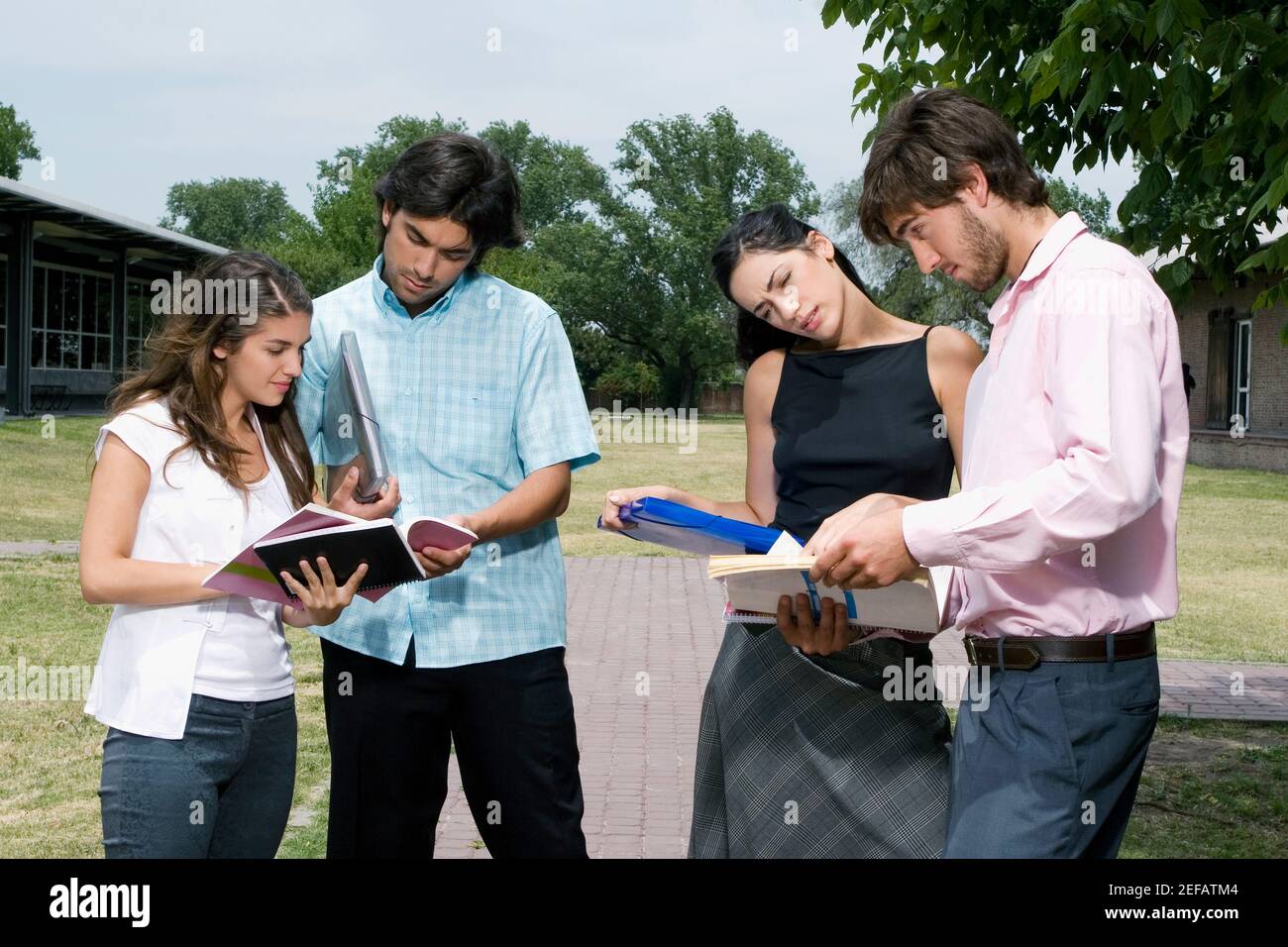 Vier Studenten stehen und diskutieren auf einem Rasen Stockfoto