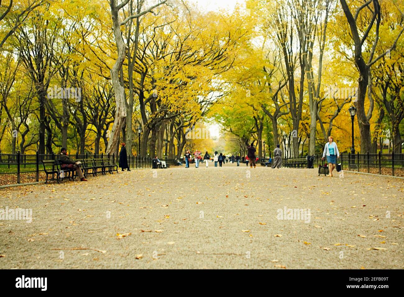 Gruppe von Menschen in einem Park, Central Park, Manhattan, New York City, New York State, USA Stockfoto