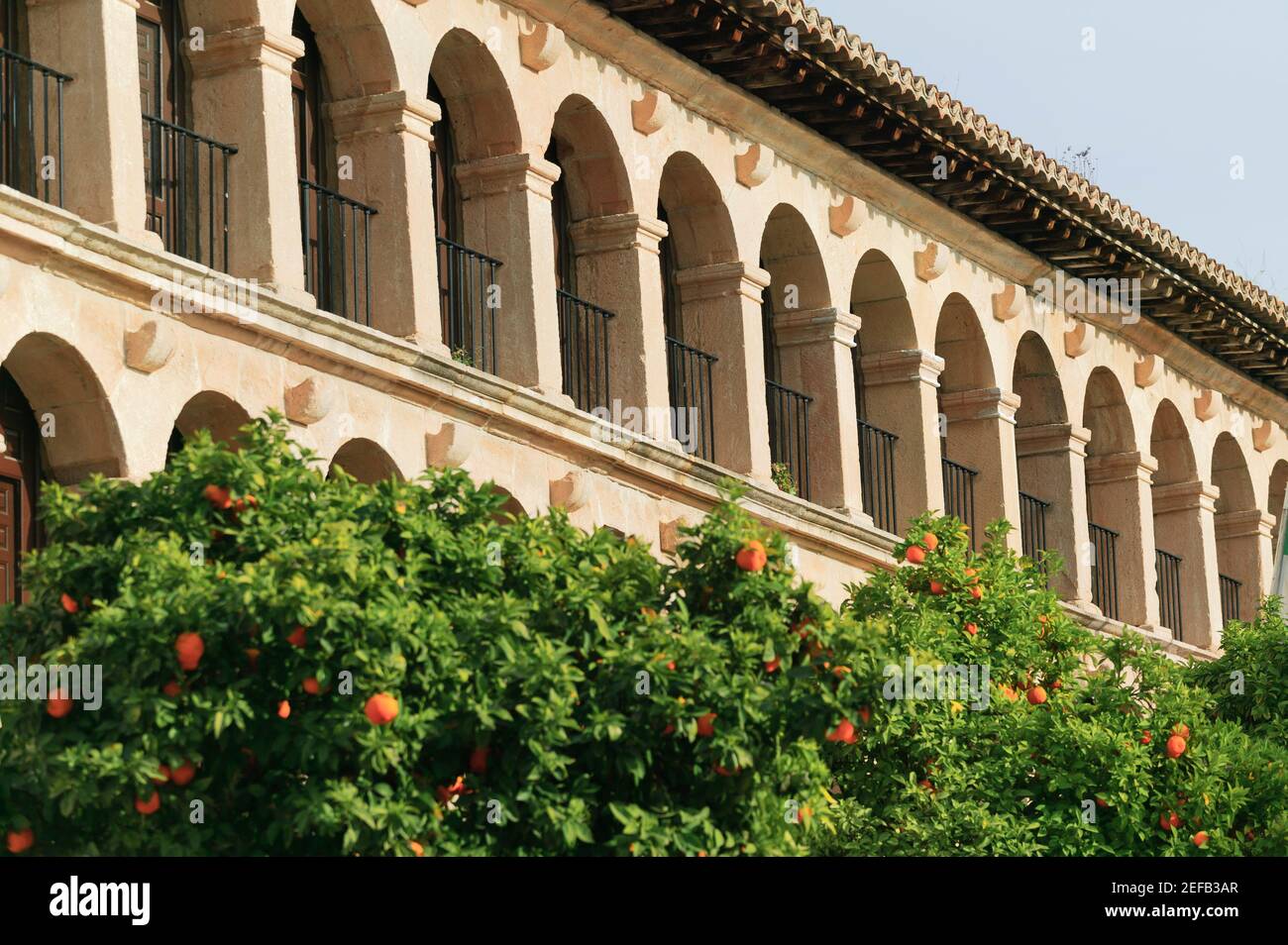 Rathaus, Duchess of Parcent Square, Ronda, Malaga, Andalusien, Spanien Stockfoto