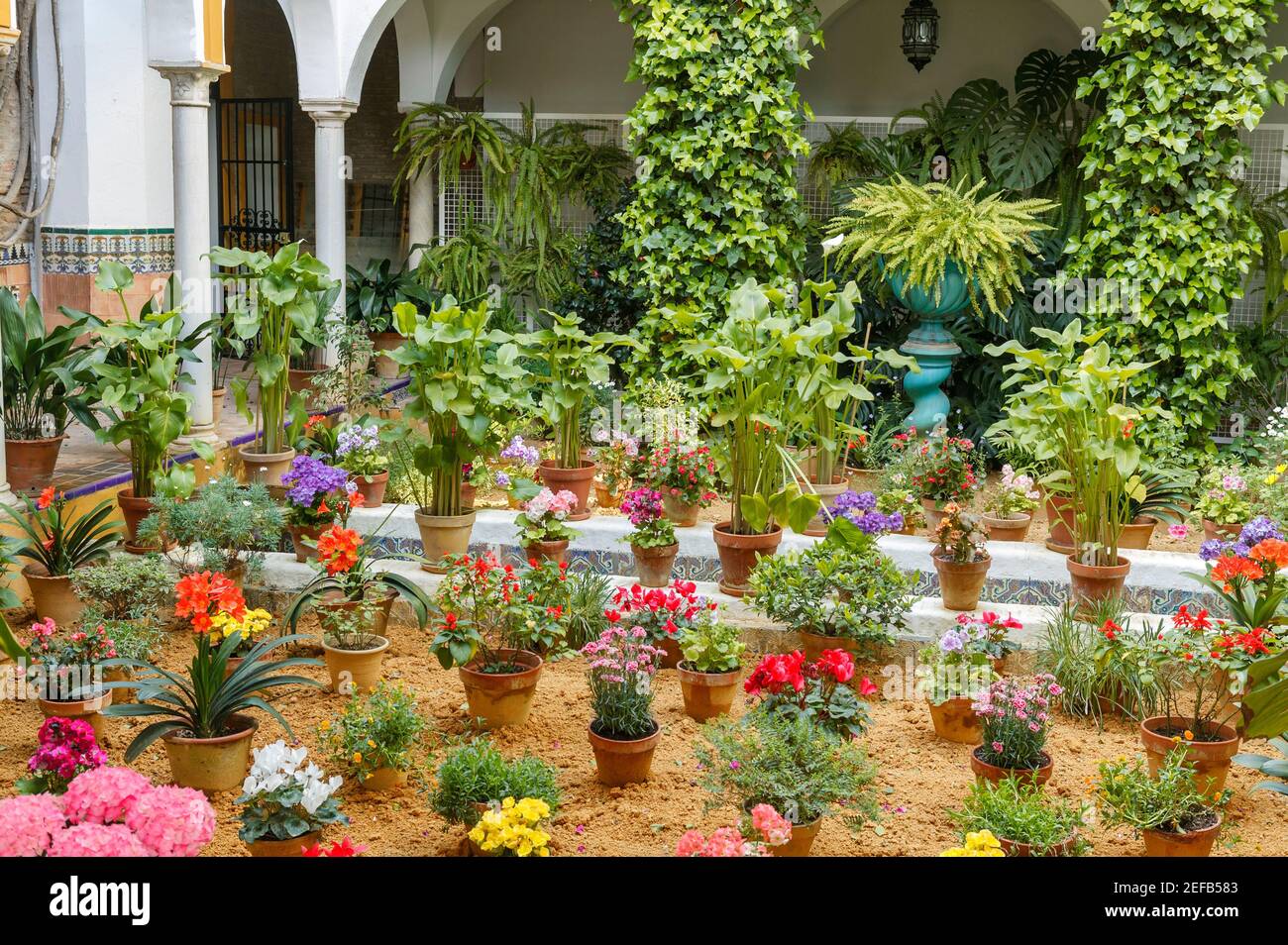 Patio, Garten, Calle jon del agua, Santa Cruz, Sevilla, Andalusien, Spanien Stockfoto