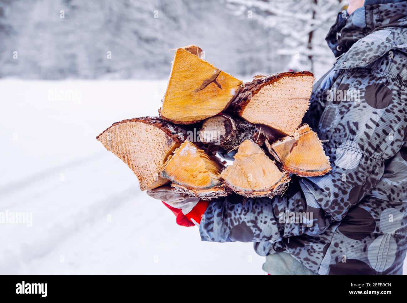 Detail einer Frau, die im Winter im Freien, in ländlicher Natur einen Haufen Feuerholz auf dem Schoß trägt. Nordisches Winter Lifestyle Konzept. Stockfoto