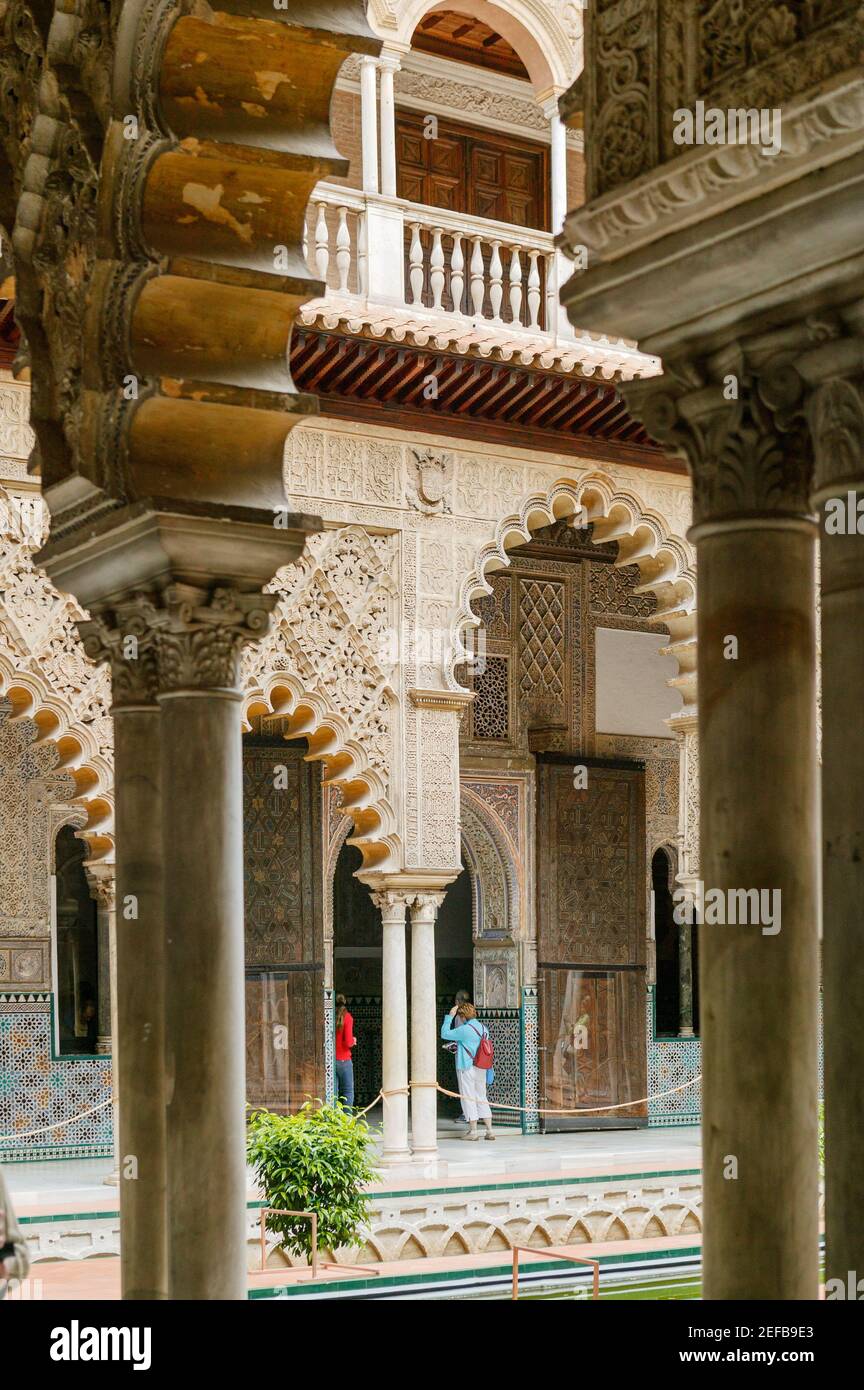 Königspalast, Sevilla, Andalusien, Spanien Stockfoto