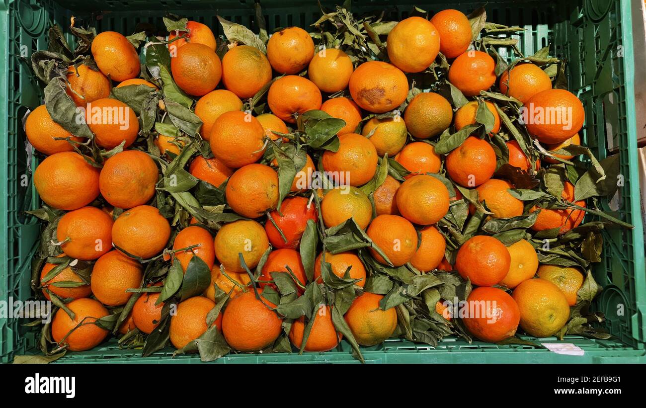 Nahaufnahme von Mandarinen Orangen in einer grünen Box in Der Markt Stockfoto
