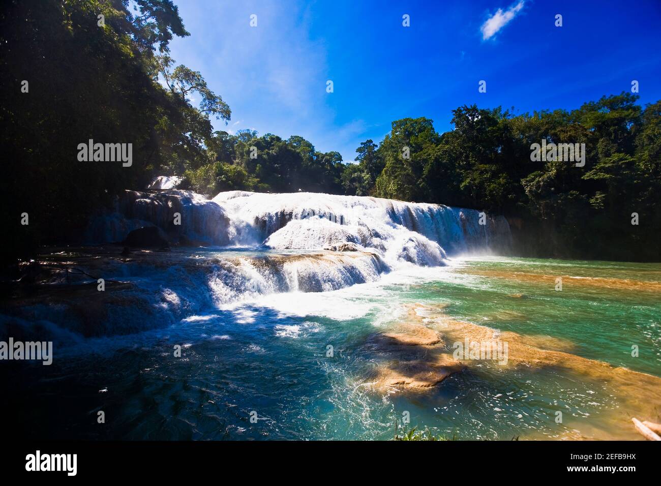 Wasserfall im Wald, Wasserfällen Agua Azul, Chiapas, Mexiko Stockfoto