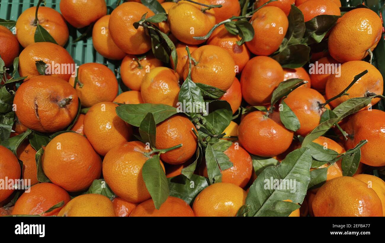 Nahaufnahme von Mandarinen Orangen in einer grünen Box in Der Markt Stockfoto