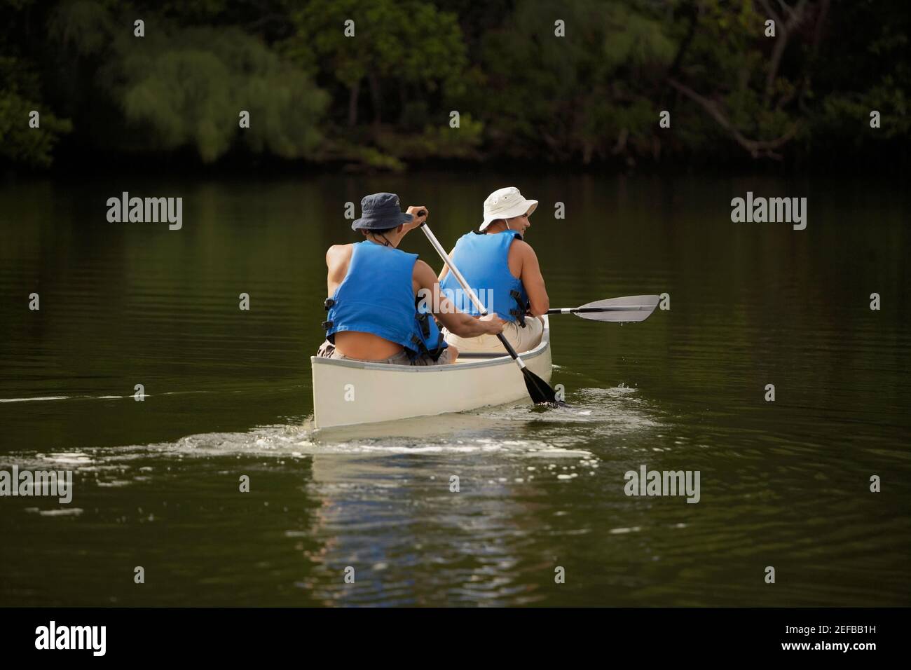 Rückansicht von zwei Männern mit mittlerem Erwachsenenalter beim Kanufahren Stockfoto