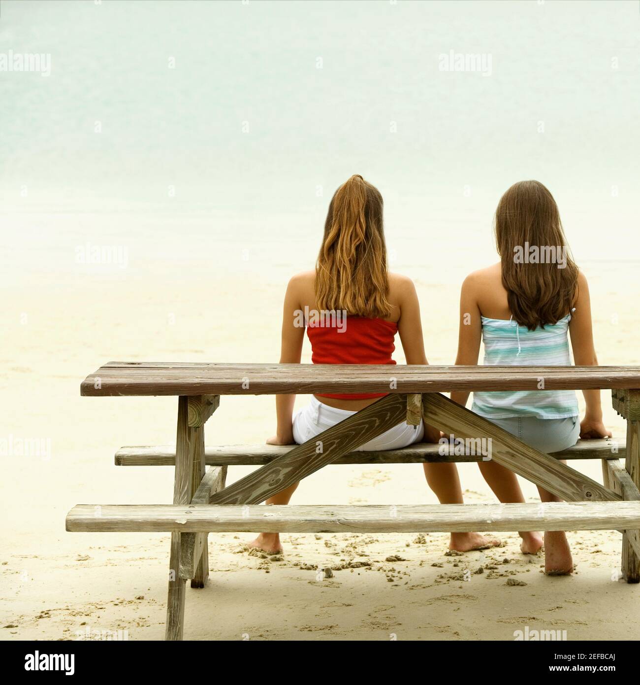 Rückansicht Von Zwei Mädchen Sitzen Auf Einer Bank An Der Strand Stockfotografie Alamy 