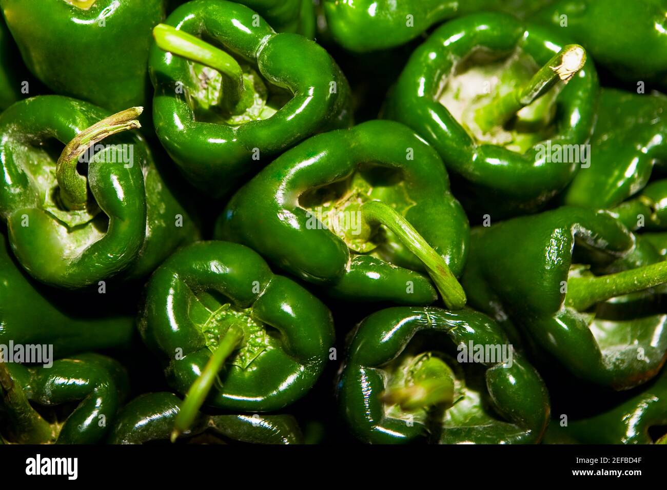 Nahaufnahme von grünen Paprika an einem Marktstand, Zacatecas State, Mexiko Stockfoto