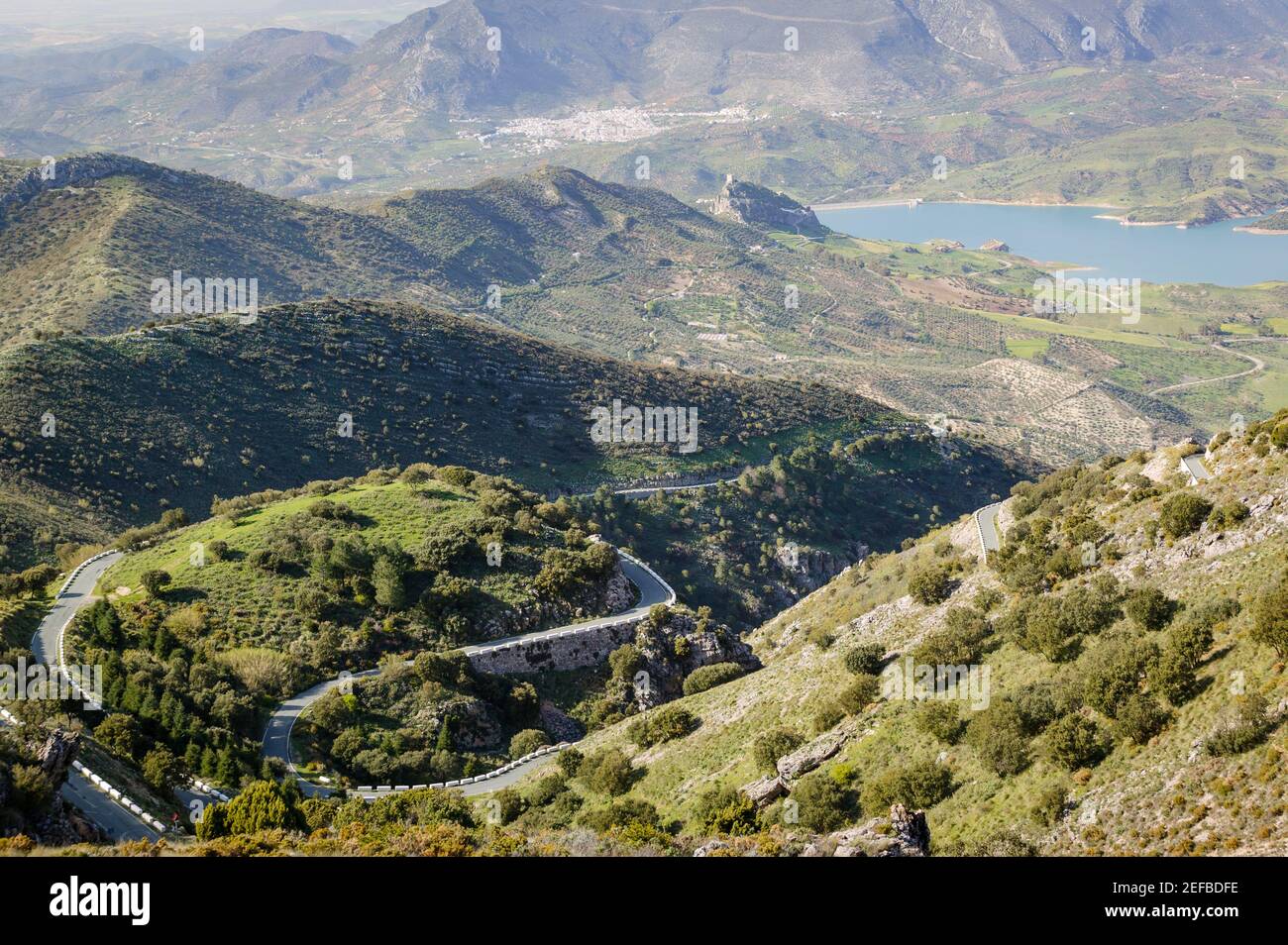 Landschaft in der Nähe von Grazalema Grazalema Andalusien Andalusien Spanien Stockfoto