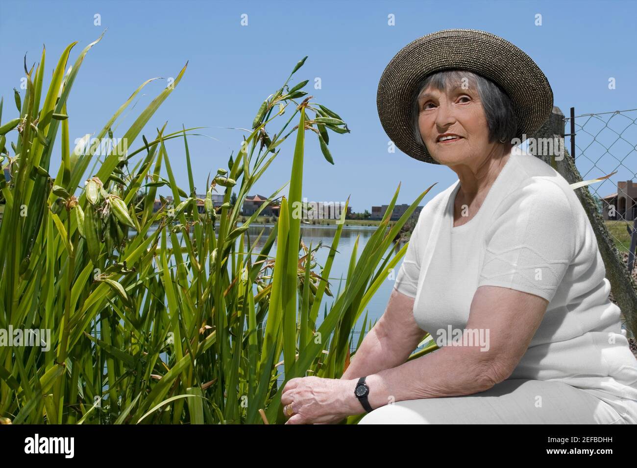 Porträt einer älteren Frau im Garten Stockfoto