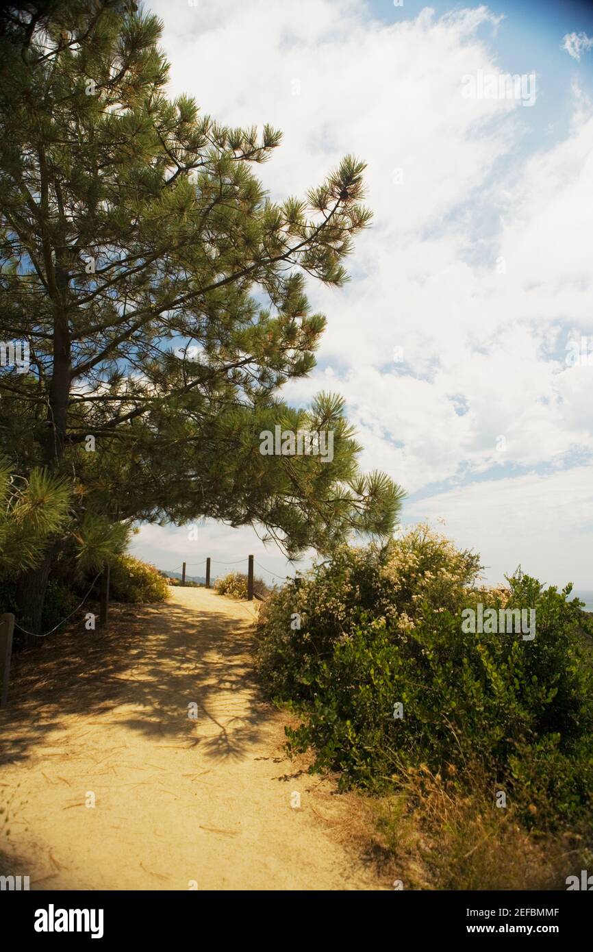 Blick auf einen Wanderweg in einem Reservat Stockfoto