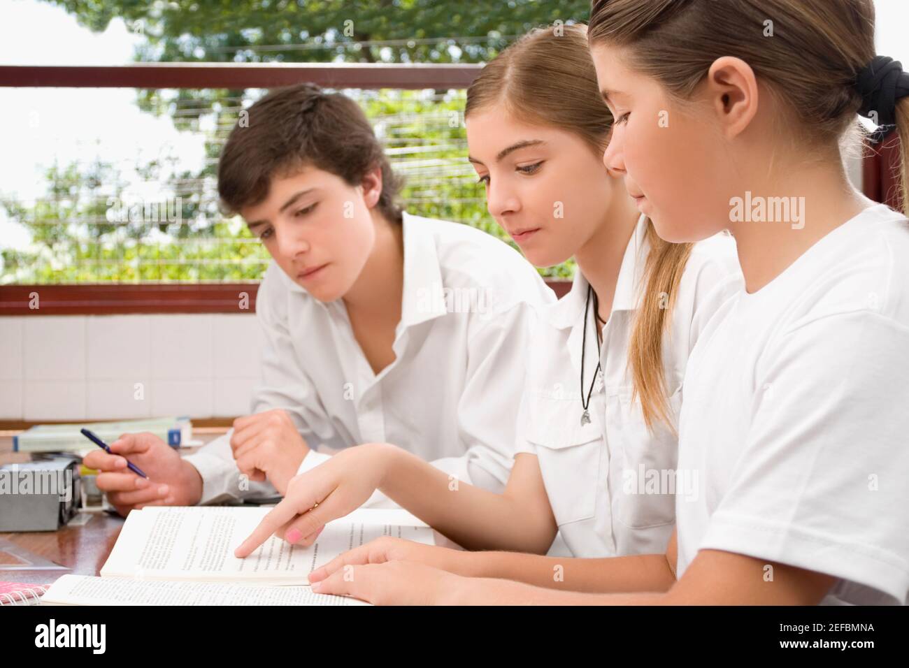 Zwei Schülerinnen und ein Schuljunge, die zusammen in einem Klassenzimmer studieren Stockfoto