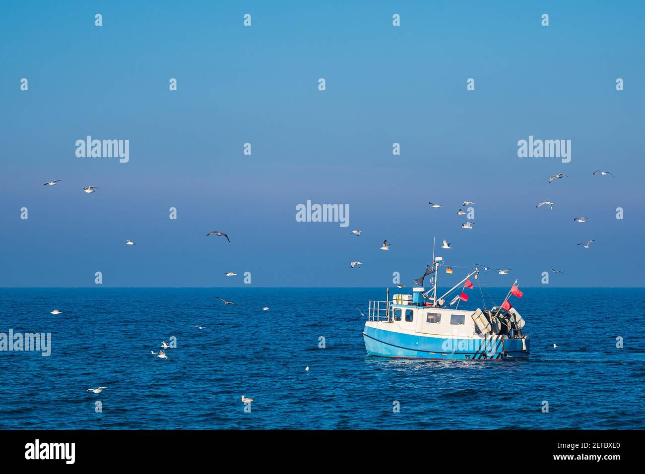 Fischerboot und Möwen an der Ostsee in Warnemünde, Deutschland. Stockfoto