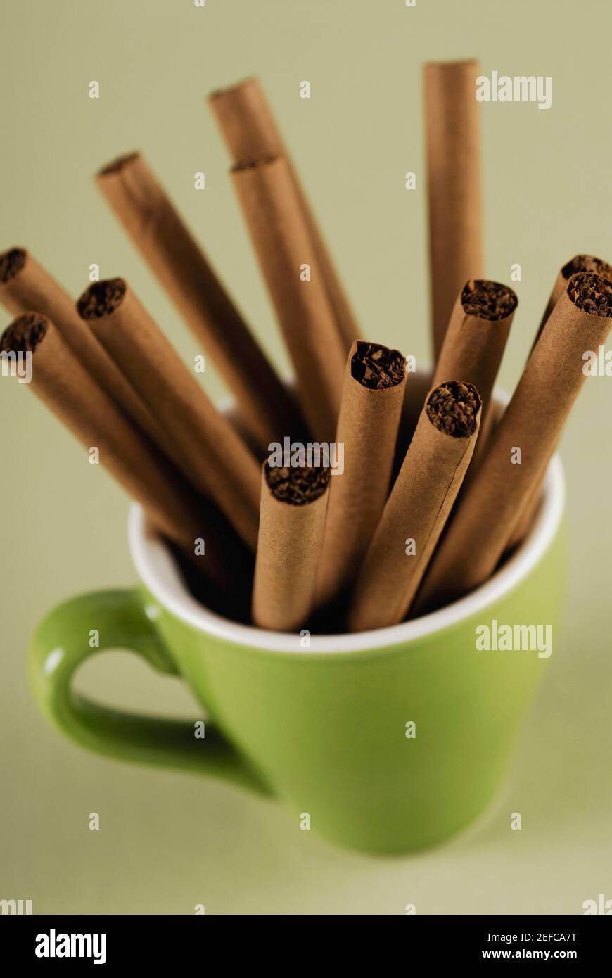 Blick auf Zigarren in einer Tasse Stockfoto