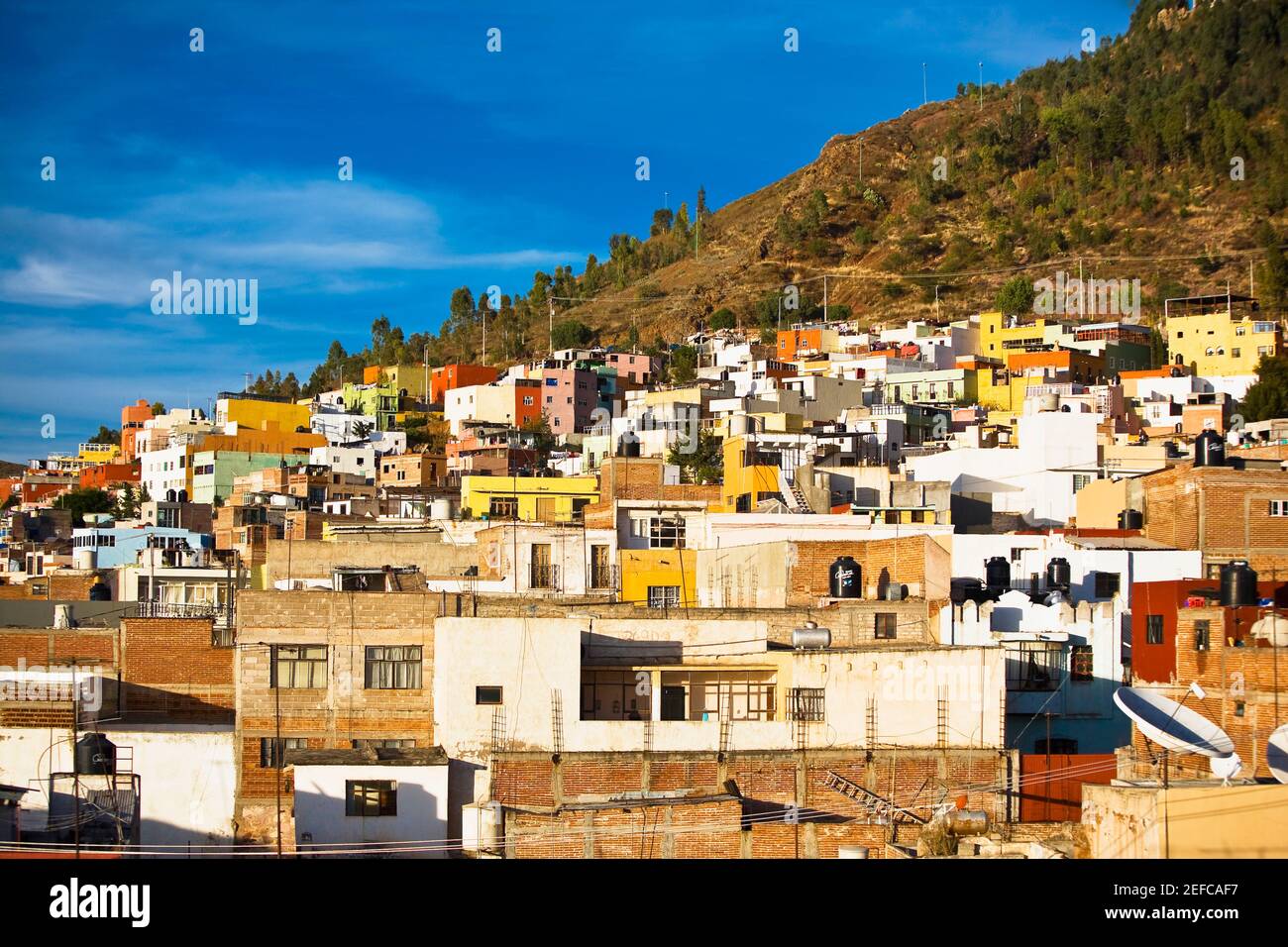 Gebäude in einer Stadt, Zacatecas Staat, Mexiko Stockfoto