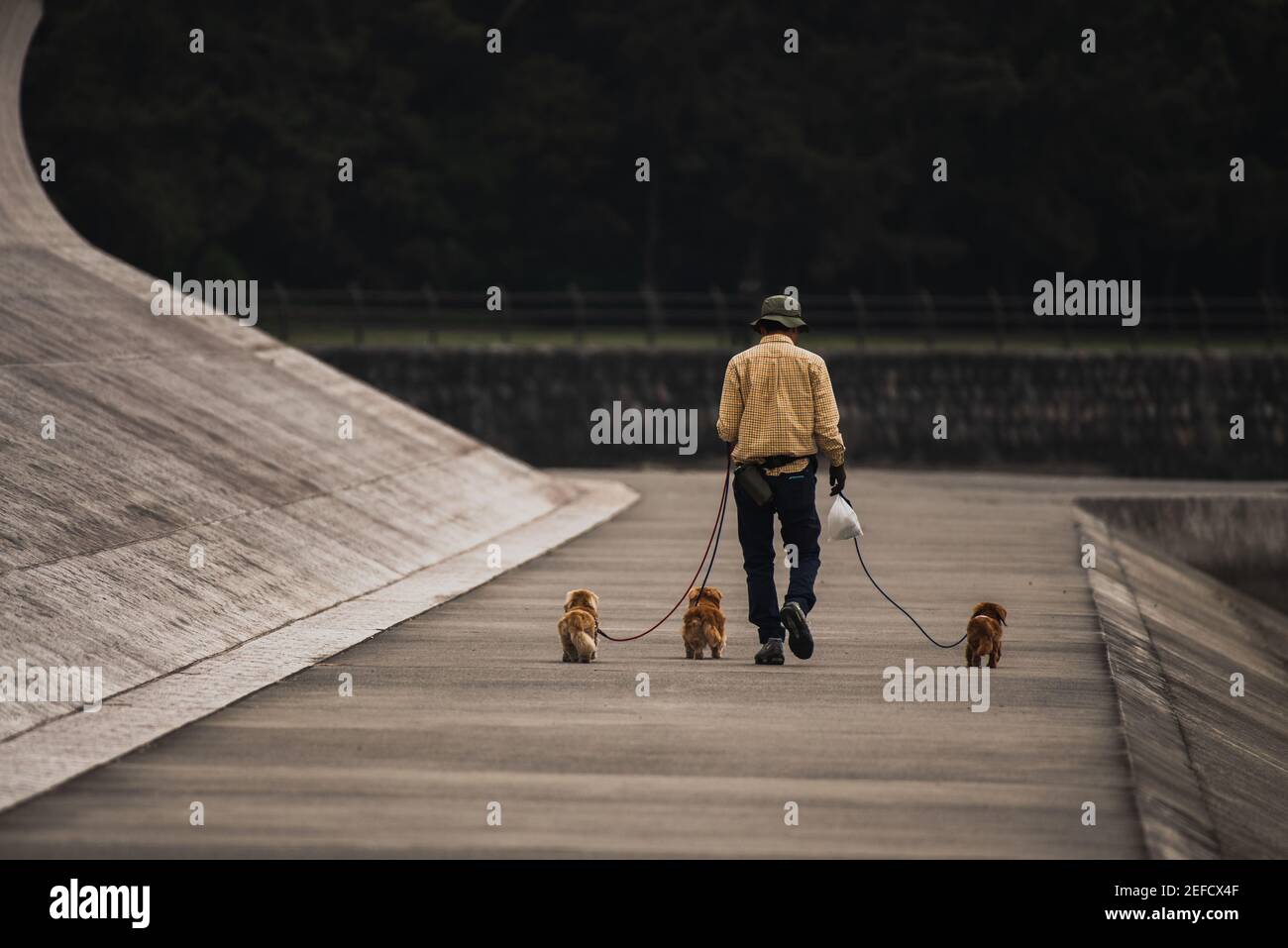 Alter Mann, der drei Hunde in der Küste aufgehängt hat Stockfoto