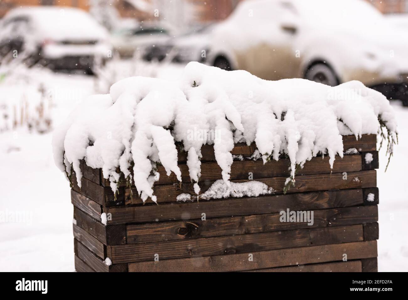 Holzwanne mit Pflanzen im Schnee. Eine Badewanne in der Stadt im Winter ist nicht nur praktisch, sondern auch schön. Stockfoto