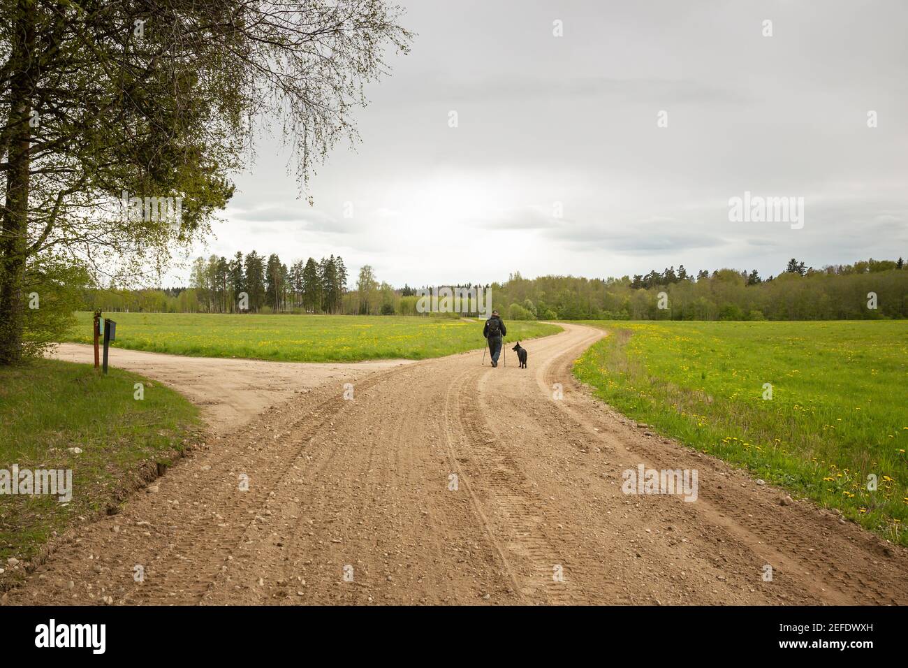 Mann mit seinem Hund geht Wandern in der Natur, frühlingshafte Landschaft Stockfoto