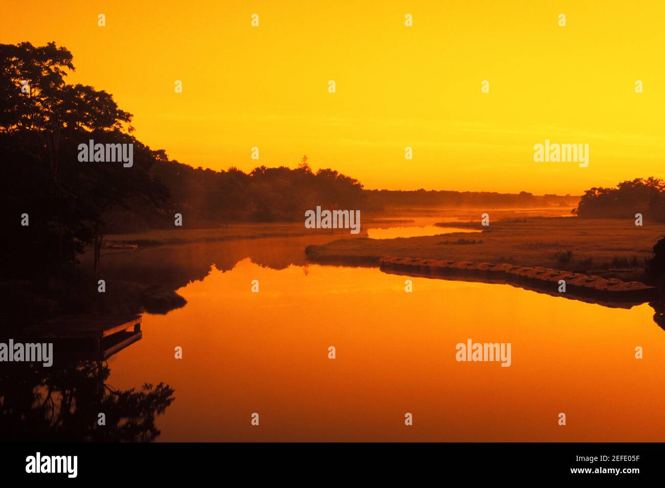 Silhouette der Bäume in der Dämmerung Stockfoto