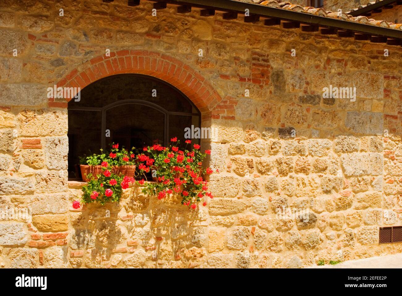 Topfpflanzen auf einer Fensterbank, Monteriggioni, Provinz Siena, Toskana, Italien Stockfoto