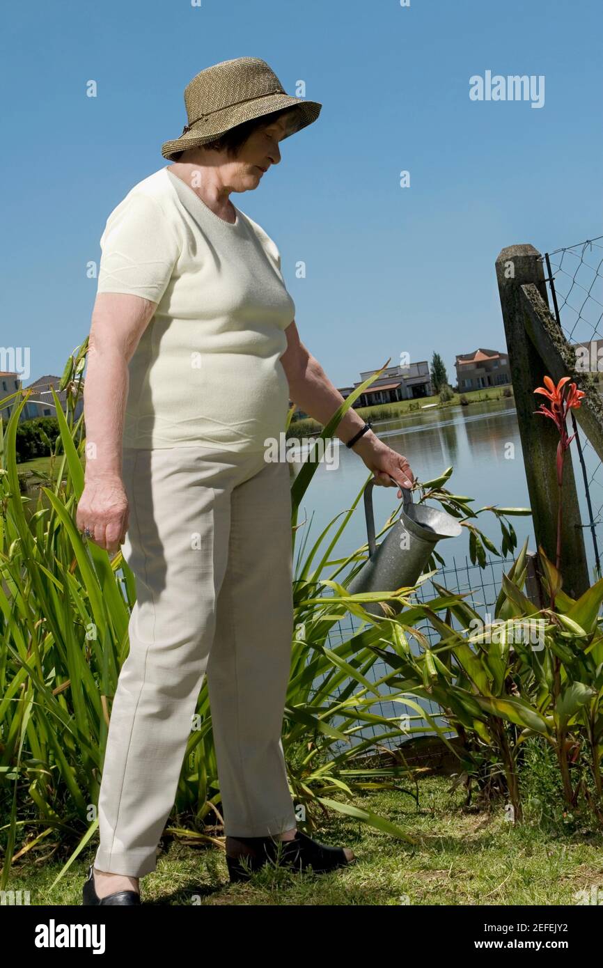 Ältere Frau wässern Pflanzen in einem Garten Stockfoto