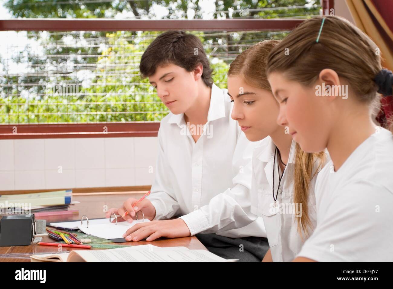 Zwei Schülerinnen und ein Schuljunge, der in einem Klassenzimmer studiert Stockfoto