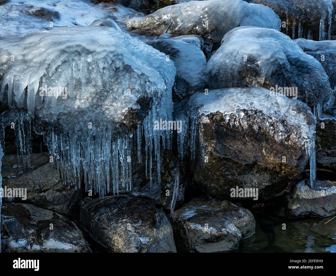 Eisskulpturen an Baum oder Ästen, Eiszapfen auf Ästen und Steinen am Ufer des Bodensees. Eisskulpturen des Schöpfers. Winter am Bodensee Stockfoto