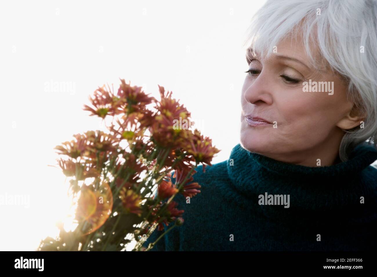 Nahaufnahme einer älteren Frau, die auf Blumenstrauß schaut Und riechen Stockfoto