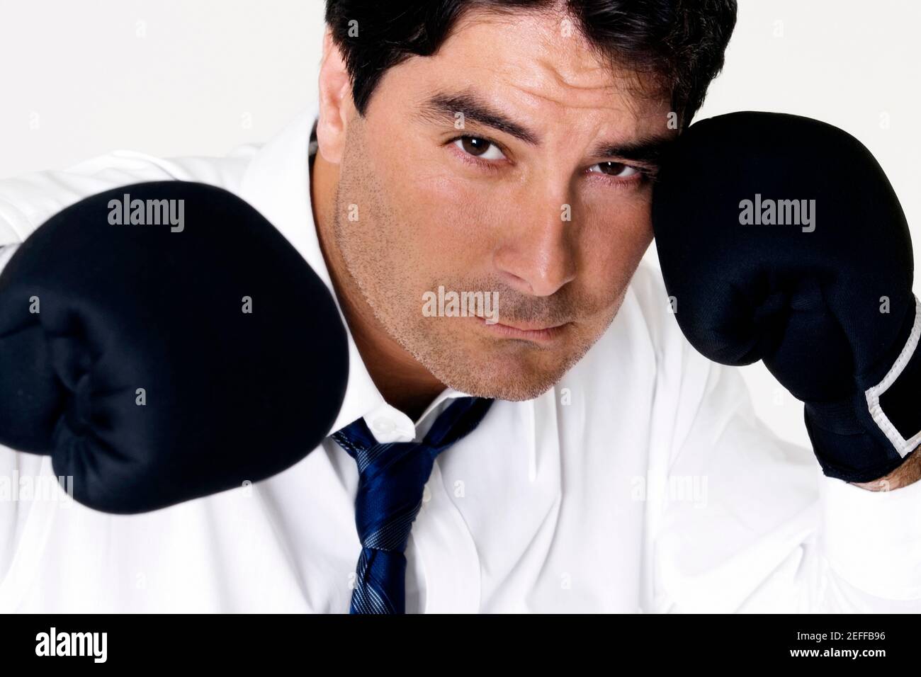 Porträt eines Geschäftsmannes tragen Boxhandschuhe Stockfoto