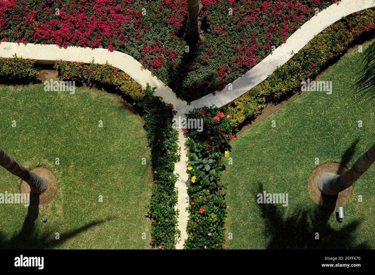 Eine Luftaufnahme der Gärten von Las Mananitas in San Jose Del Cabo, MZ mit einer markanten Y-förmigen Wand. Stockfoto
