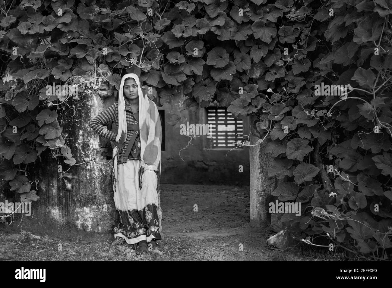 Schöne junge Zigeunerin in traditioneller Kleidung in verlassenen Gebäude und Flora in Wüstengebiet in der Nähe von Pushkar, Rajasthan, Indien gesetzt. Stockfoto