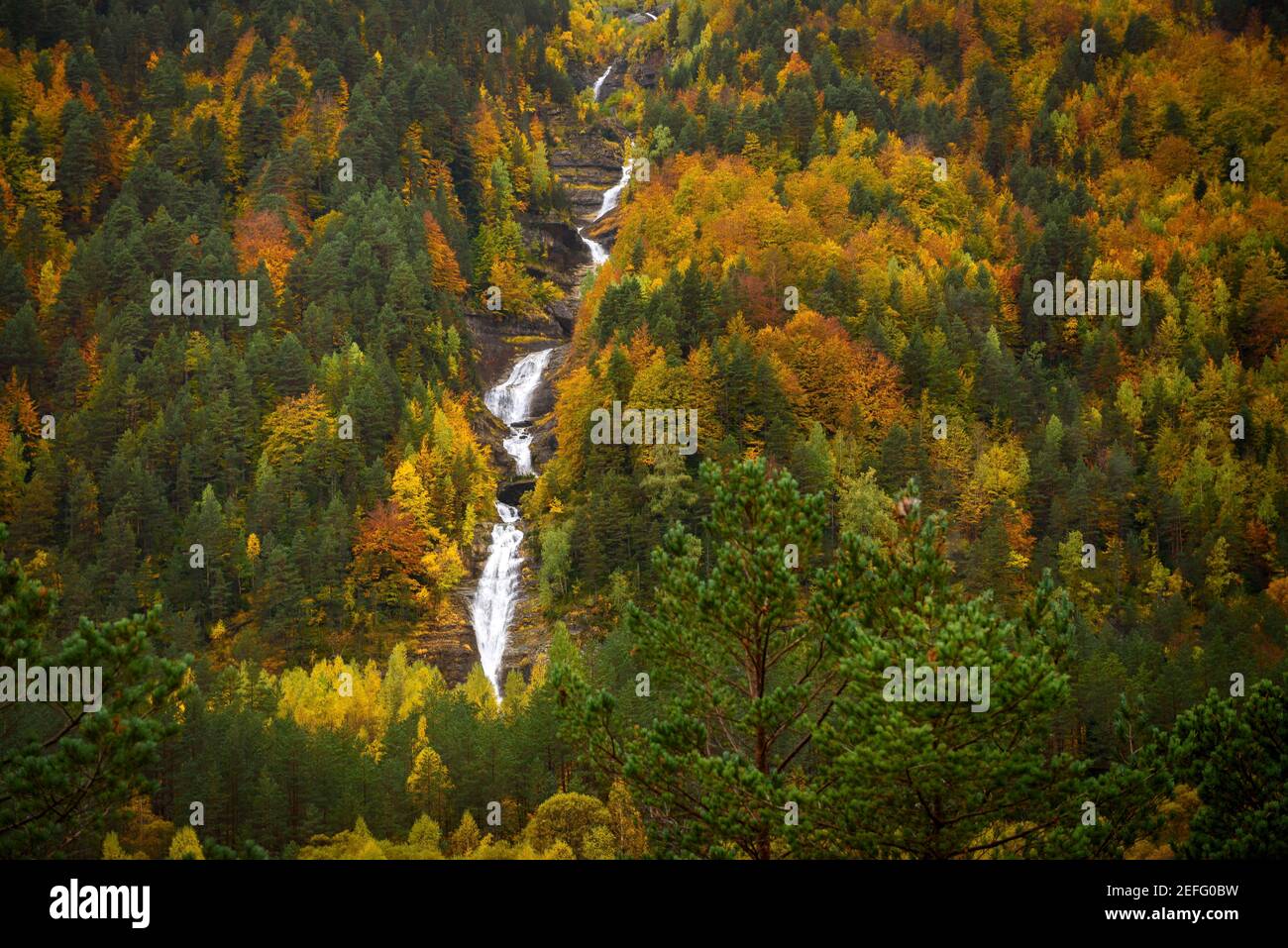 Pineta-Tal im Herbst nach heftigem Regen (Nationalpark Ordesa und Monte Perdido, Spanien) ESP: Valle de Pineta en otoño, después de unas lluvias intensas Stockfoto