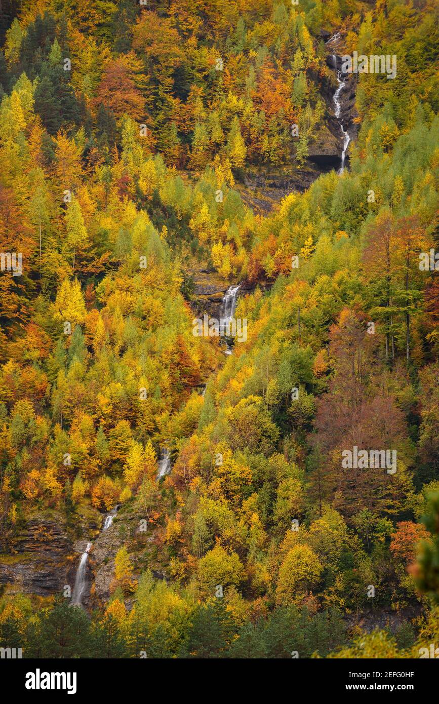 Pineta-Tal im Herbst nach heftigem Regen (Nationalpark Ordesa und Monte Perdido, Spanien) ESP: Valle de Pineta en otoño, después de unas lluvias intensas Stockfoto