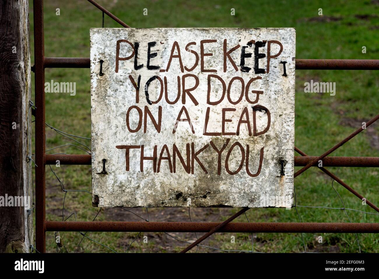 Handbemaltes Schild 'Bitte halten Sie Ihren Hund an der Leine danke', Warwickshire, Großbritannien Stockfoto