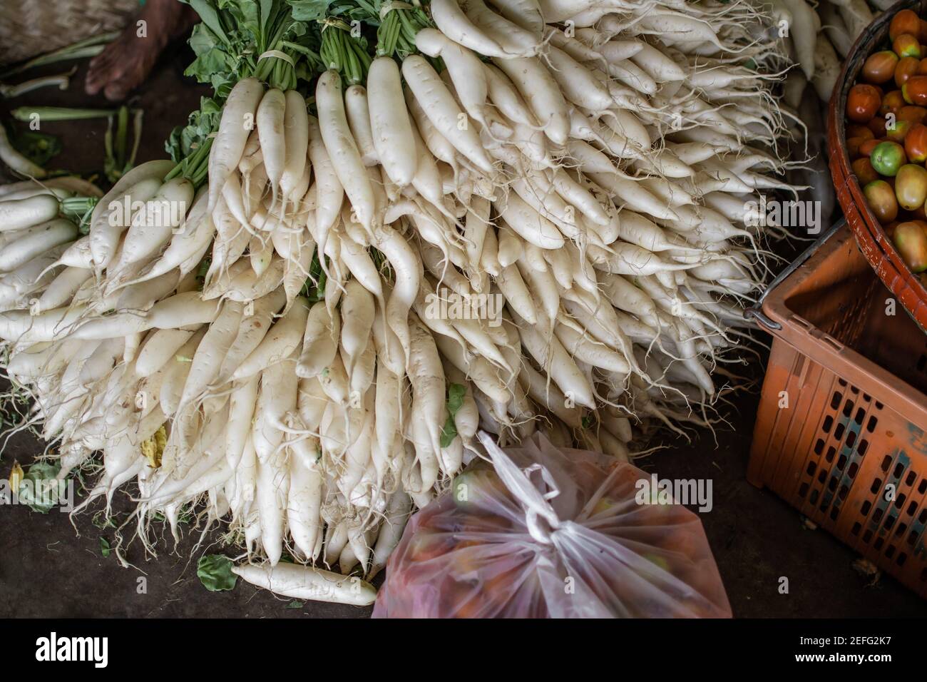 Ein riesiger Haufen weißer Radieschen auf dem Boden auf einem traditionellen lokalen Straßenmarkt in Yangon, Myanmar Stockfoto