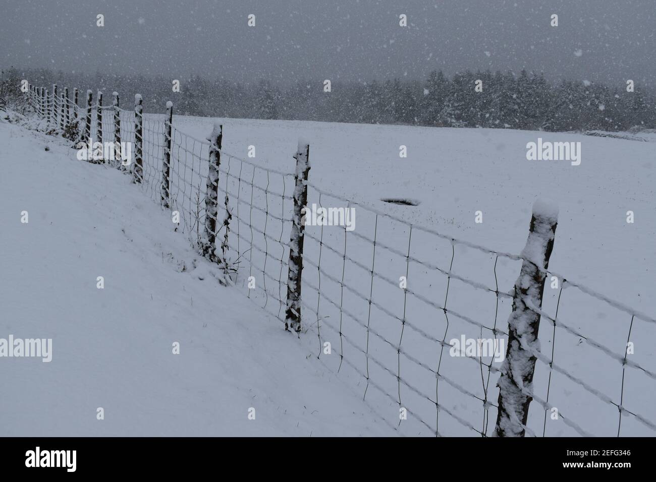 Une clôture sous la neige Stockfoto
