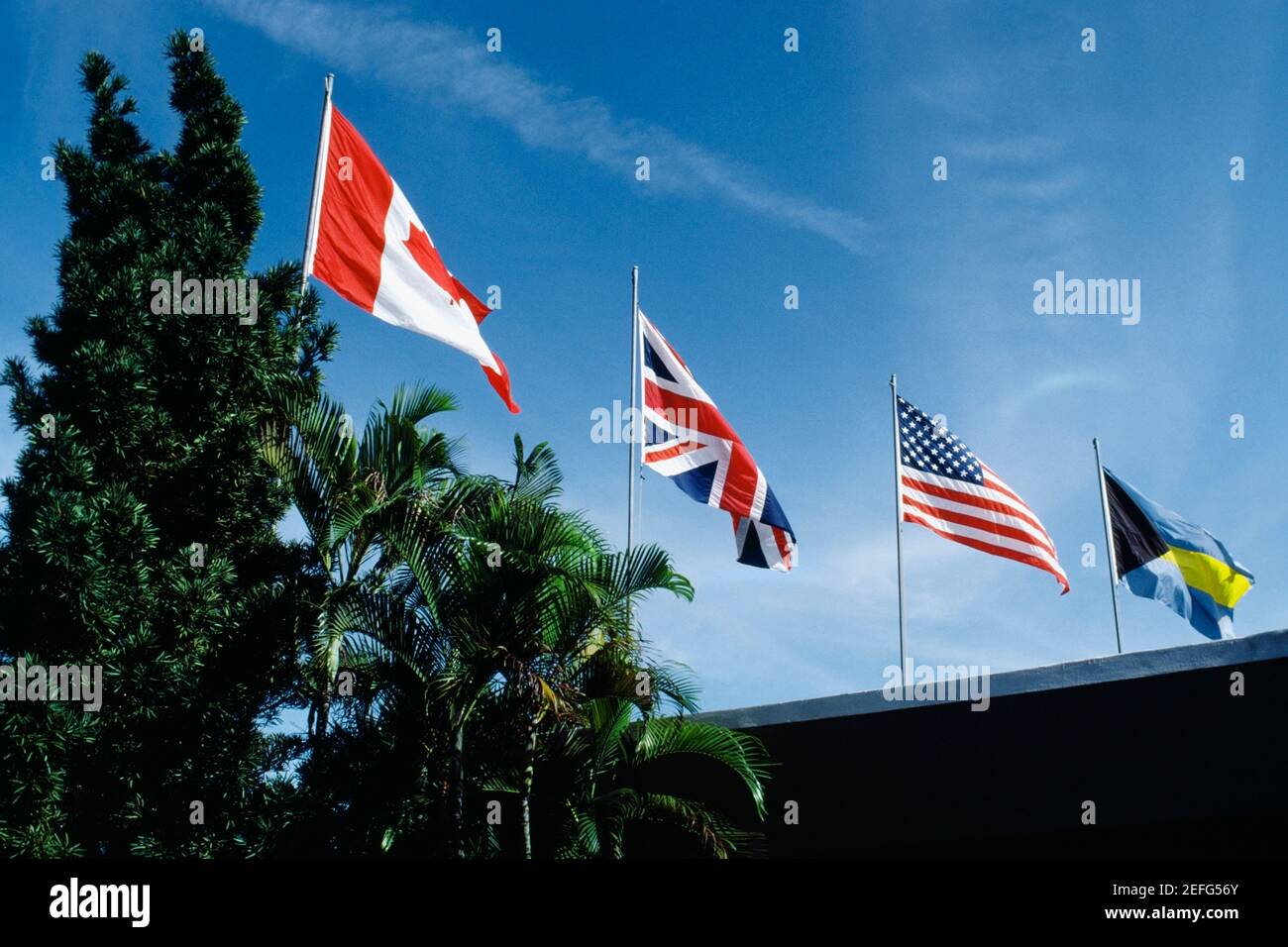 Flaggen flattern wegen Wind an einem sonnigen Tag, Freeport, Bahamas Stockfoto