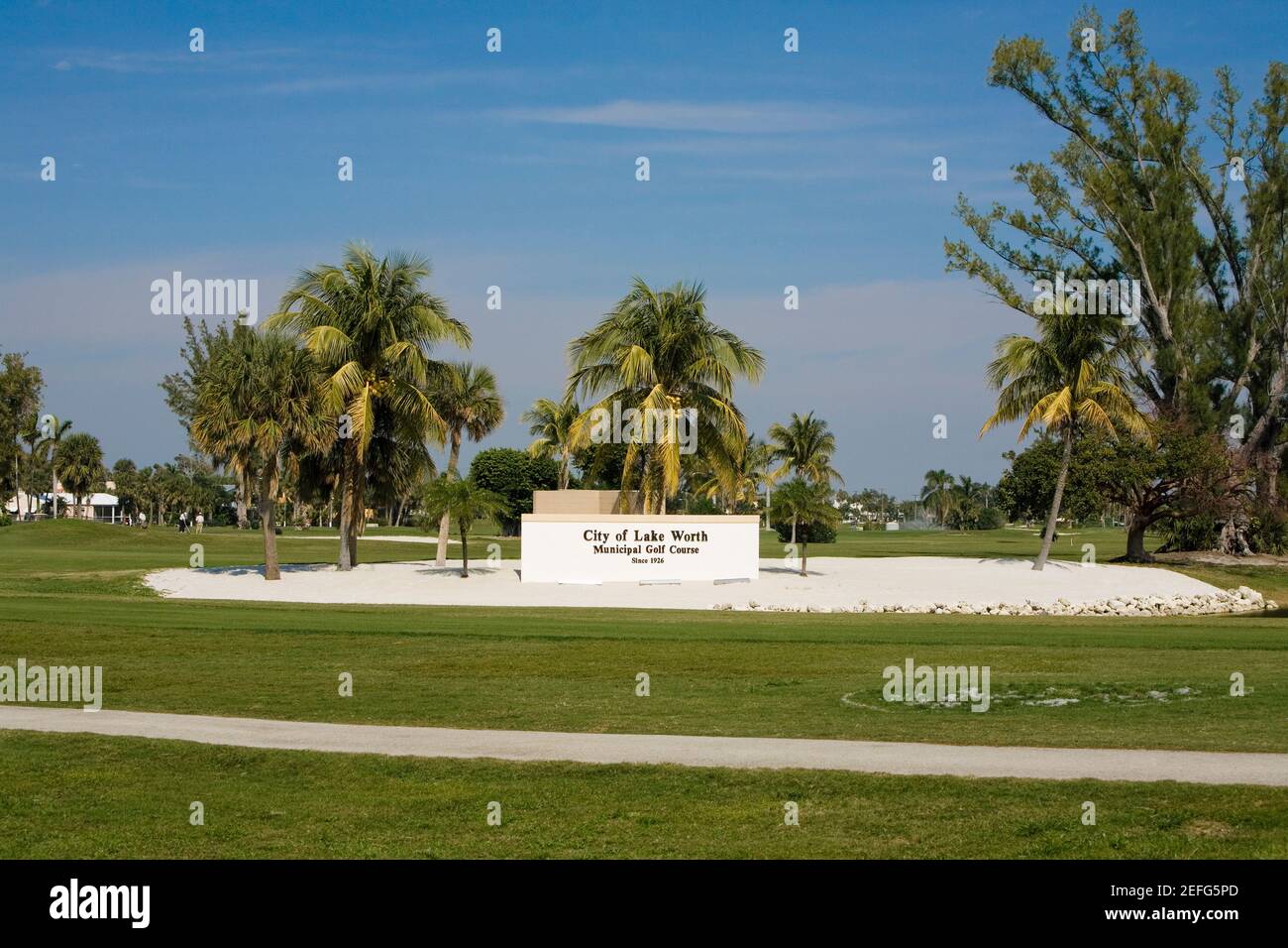 Palmen in einem Park, Lake Worth, Palm Beach County, Florida, USA Stockfoto