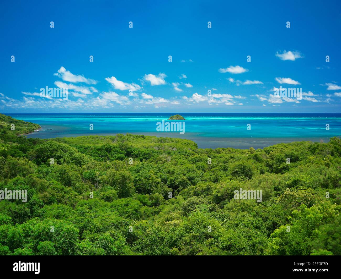 Blick auf Bäume am Meer, Crab Cay, Providencia, Providencia y Santa Catalina, San Andres y Providencia Department, Kolumbien Stockfoto