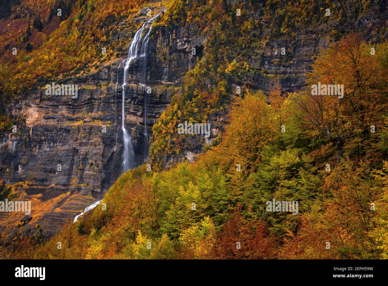 Pineta-Tal im Herbst nach heftigem Regen (Nationalpark Ordesa und Monte Perdido, Spanien) ESP: Valle de Pineta en otoño, después de unas lluvias intensas Stockfoto