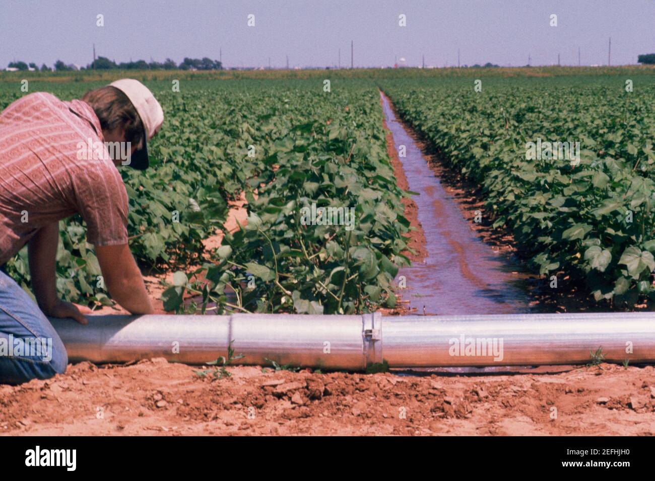 Bewässerung von Sojabohnenfeldern, Texas Stockfoto