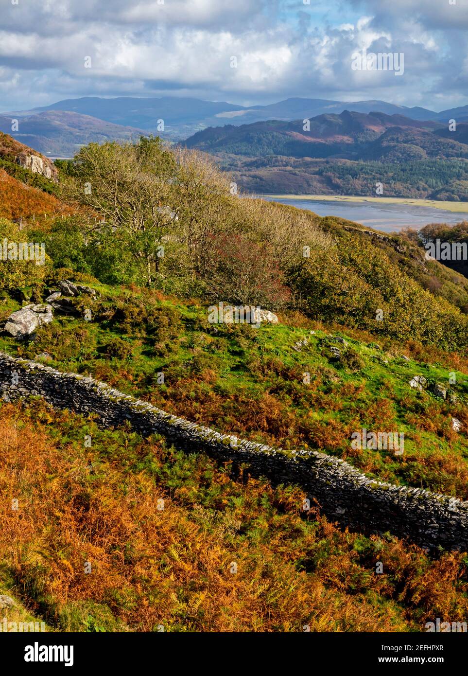 Hochlandlandschaft über der Mawddach Mündung bei Barmouth in Gwynedd North West Wales UK in der Nähe des beliebten Panorama Walk Mit Snowdonia in der Ferne Stockfoto