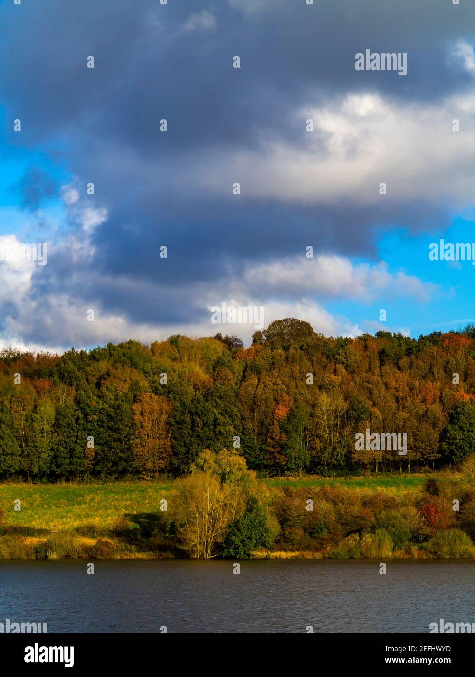 Herbstbäume am Ogston Reservoir in der Nähe von Ashover im Nordosten von Derbyshire England Großbritannien betrieben von Severn Trent Water und im Jahr 1958 erstellt. Stockfoto