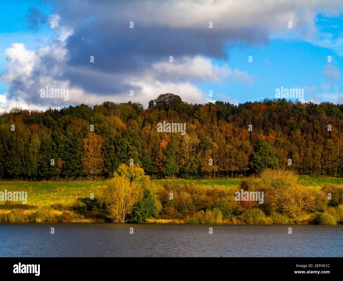 Herbstbäume am Ogston Reservoir in der Nähe von Ashover im Nordosten von Derbyshire England Großbritannien betrieben von Severn Trent Water und im Jahr 1958 erstellt. Stockfoto